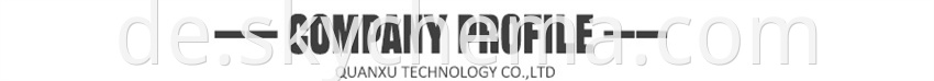 L Company Profile H